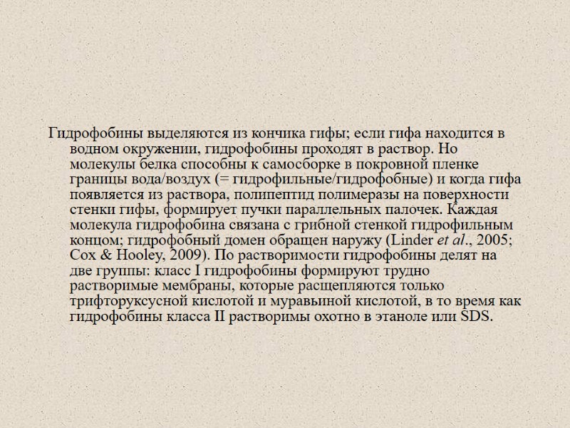 Гидрофобины выделяются из кончика гифы; если гифа находится в водном окружении, гидрофобины проходят в